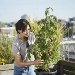 Elho Green Basics Tomaten Pot 33 - Bloempot Voor Buitenkweken En Oogsten - Ø 33.5 X H 26.0 Cm - Zwart/Living Black 22 Elho Green Basics Tomaten Pot 33 - Bloempot Voor Buitenkweken En Oogsten - Ø 33.5 X H 26.0 Cm - Zwart/Living Black -Goedkope Groene Liefde Winkel 800x1200 13