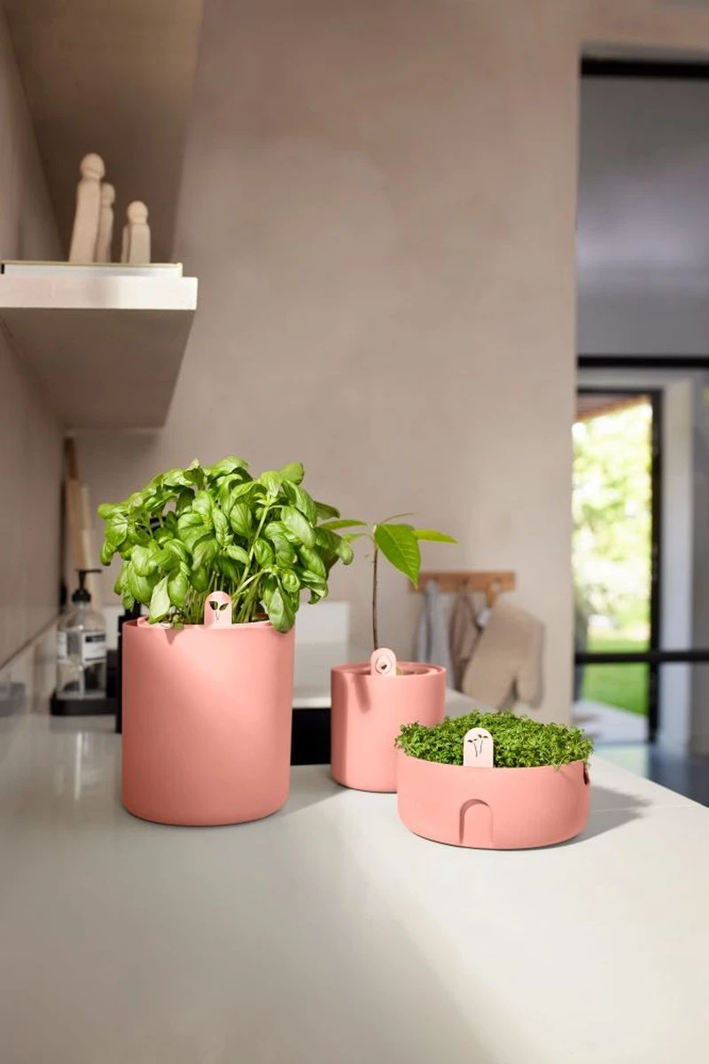 Elho Amazing Avocado Pot 12 - Kweekpot Voor Binnen - Moestuinbak Van 100% Gerecycled Plastic - Ø 12.0 X H 12.1 Cm - Bruin/Toffee Terra 9 Elho Amazing Avocado Pot 12 - Kweekpot Voor Binnen - Moestuinbak Van 100% Gerecycled Plastic - Ø 12.0 X H 12.1 Cm - Bruin/Toffee Terra - Afbeelding 7