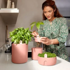 Elho Magic Microgreens 17 - Bloempot Voor Kiemgroenten - Ø 16.8 X H 7.1 Cm - Bruin/Toffee Terra -Goedkope Groene Liefde Winkel 800x1200 19