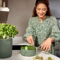 Elho Magic Microgreens 17 - Bloempot Voor Kiemgroenten - Ø 16.8 X H 7.1 Cm - Groen/Blad Groen 21 Elho Magic Microgreens 17 - Bloempot Voor Kiemgroenten - Ø 16.8 X H 7.1 Cm - Groen/Blad Groen -Goedkope Groene Liefde Winkel 800x1200 2