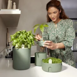 Elho Amazing Avocado Pot 12 - Kweekpot Voor Binnen - Moestuinbak Van 100% Gerecycled Plastic - Ø 12.0 X H 12.1 Cm - Groen/Blad Groen -Goedkope Groene Liefde Winkel 800x1200 20