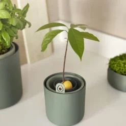 Elho Amazing Avocado Pot 12 - Kweekpot Voor Binnen - Moestuinbak Van 100% Gerecycled Plastic - Ø 12.0 X H 12.1 Cm - Groen/Blad Groen -Goedkope Groene Liefde Winkel 800x1200 21