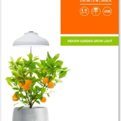 LEDVANCE 4058075576155 -Goedkope Groene Liefde Winkel 806x1200