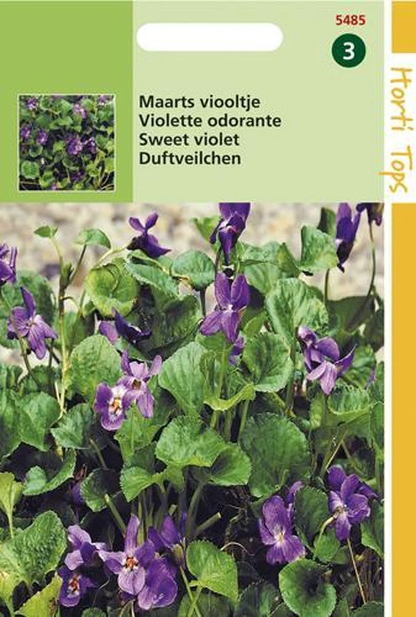 Hortitops Maarts Viooltje Bloemzaad - Viola Odorata 5 Hortitops Maarts Viooltje Bloemzaad - Viola Odorata - Afbeelding 3