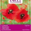 Buzzy® Poppies Of The World - Klaproos Rhoeas Rood -Goedkope Groene Liefde Winkel 809x1200