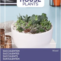 Buzzy House Plants - Kamerplantzaden - Succulenten, Vetplanten - Gemengd