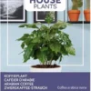 Buzzy® House Plants Coffea Arabica, Koffieplant -Goedkope Groene Liefde Winkel 811x1200 12