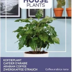 Buzzy® House Plants Coffea Arabica, Koffieplant