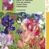Hortitops Zaden - Lathyrus Multiflora Colorama Gemengd -Goedkope Groene Liefde Winkel 811x1200 4
