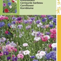 Hortitops - Korenbloem Bloemzaad - Dubbelbloemig - Gemengdd -Goedkope Groene Liefde Winkel 811x1200 5