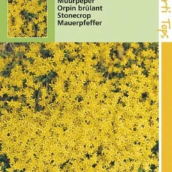 Hortitops Zaden - Muurpeper Bloemzaad - Sedum Acre - Geel -Goedkope Groene Liefde Winkel 811x1200 8