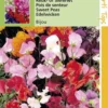 Hortitops Zaden - Lathyrus Odoratus Bijou Gemengd 1 Hortitops Zaden - Lathyrus Odoratus Bijou Gemengd -Goedkope Groene Liefde Winkel 811x1200 9