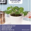 Buzzy® House Plants Mimosa Pudica, Kruidje Roer Me Niet -Goedkope Groene Liefde Winkel 813x1200 1