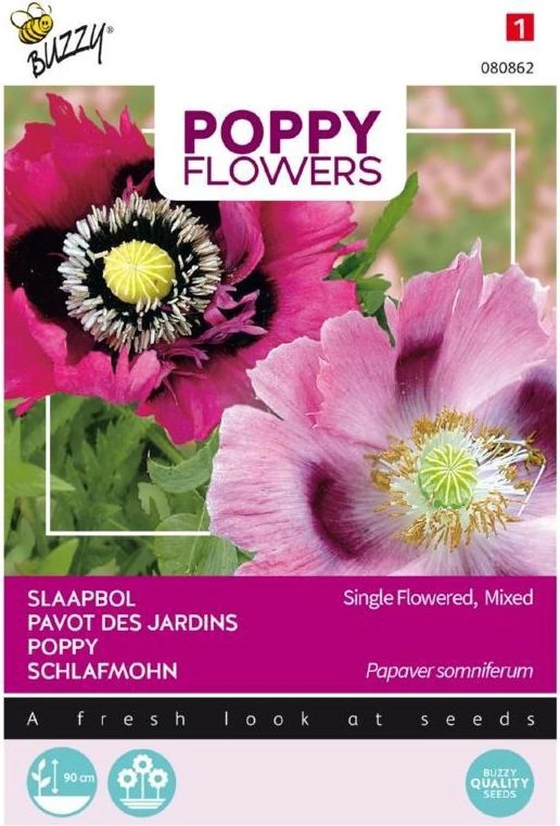 Buzzy® Poppies Of The World - Papaver Slaapbol 3 Buzzy® Poppies Of The World - Papaver Slaapbol