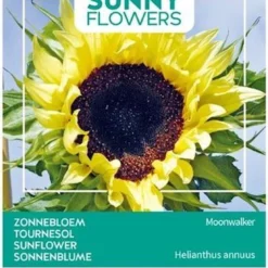 Buzzy® Sunny Flowers, Zonnebloem Moonwalker -Goedkope Groene Liefde Winkel 815x1200 2