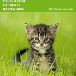 Buzzy Zaden - Kattengras Gerst - 10 Gram -Goedkope Groene Liefde Winkel 815x1200 4