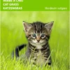 5 Stuks Kattengras Gerst -Goedkope Groene Liefde Winkel 816x1200 1