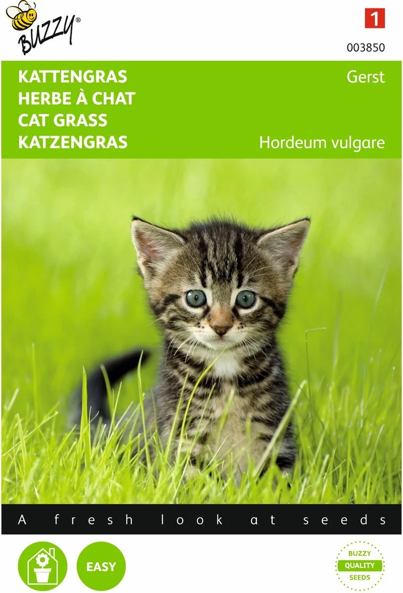 5 Stuks Kattengras Gerst 3 5 Stuks Kattengras Gerst