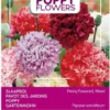 Buzzy® Poppies Of The World - Papaver Pioenbloemig -Goedkope Groene Liefde Winkel 816x1200