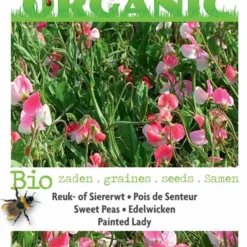 Buzzy® Organic Lathyrus, Reuk- Of Siererwt Painted Lady(BIO) -Goedkope Groene Liefde Winkel 818x1200 1