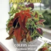 Buzzy® House Plants Coleus, Siernetel Rainbow Mix 2 Buzzy® House Plants Coleus, Siernetel Rainbow Mix -Goedkope Groene Liefde Winkel 822x1200