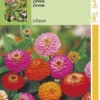 Hortitops Zaden - Zinnia Liliput/Pompon Dubbelbl. Gemengd 1 Hortitops Zaden - Zinnia Liliput/Pompon Dubbelbl. Gemengd -Goedkope Groene Liefde Winkel 823x1200 1