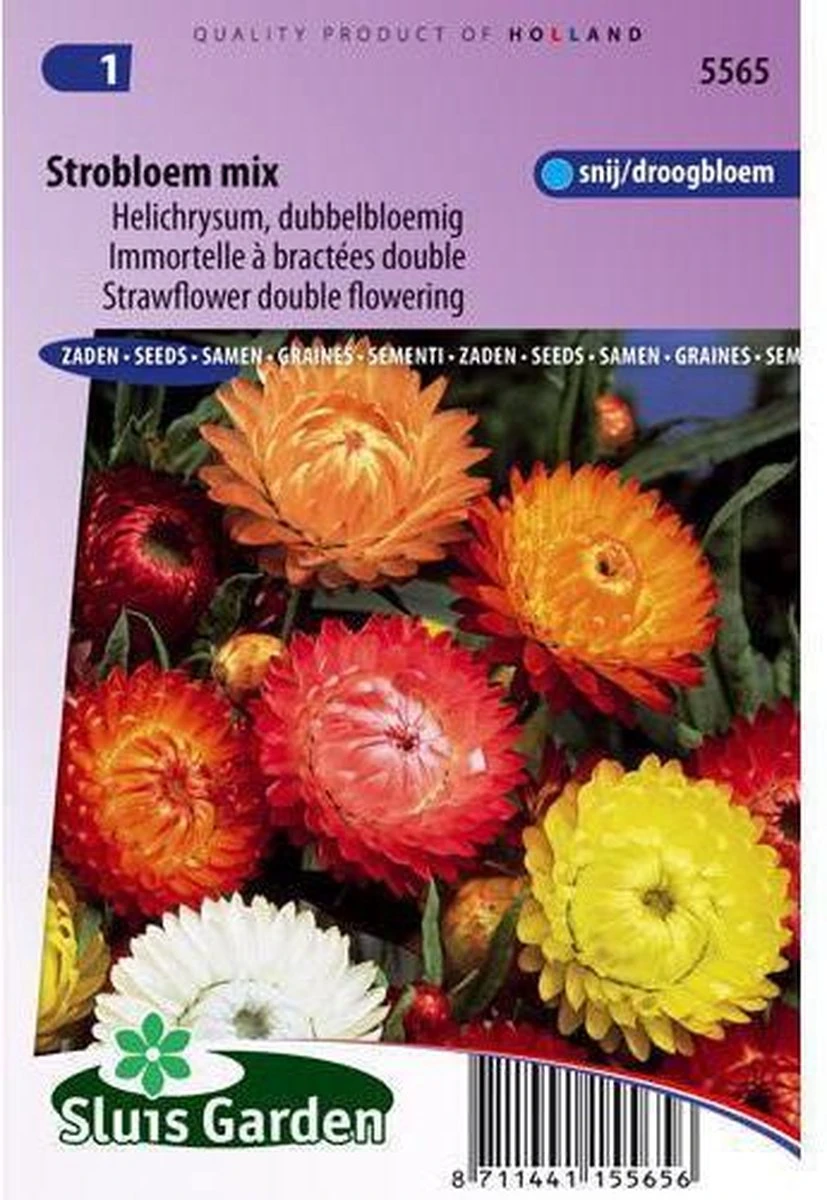 Sluis Garden - Strobloem Dubbelbloemig Gemengd 3 Sluis Garden - Strobloem Dubbelbloemig Gemengd