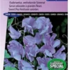 Sluis Garden - Reukerwt Lord Nelson 1907 (Lathyrus) -Goedkope Groene Liefde Winkel 827x1200 2