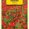 OBZ Klaproos Rood (Papaver Rhoeas) -Goedkope Groene Liefde Winkel 829x1200