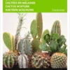 Buzzy - Cactus All Round Mengsel -Goedkope Groene Liefde Winkel 829x1200 13