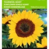 Buzzy Zaden - Zonnebloem Giganteus - Helianthus Annuus (reuzenzonnebloem) -Goedkope Groene Liefde Winkel 829x1200 6