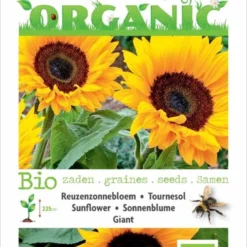Buzzy® Organic Zonnebloem Giganteus (BIO)