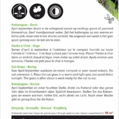 Buzzy Zaden - Kattengras Gerst - 10 Gram -Goedkope Groene Liefde Winkel 833x1200 1