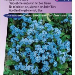 Sluis Garden - Vergeet Me Niet Indigo Blue