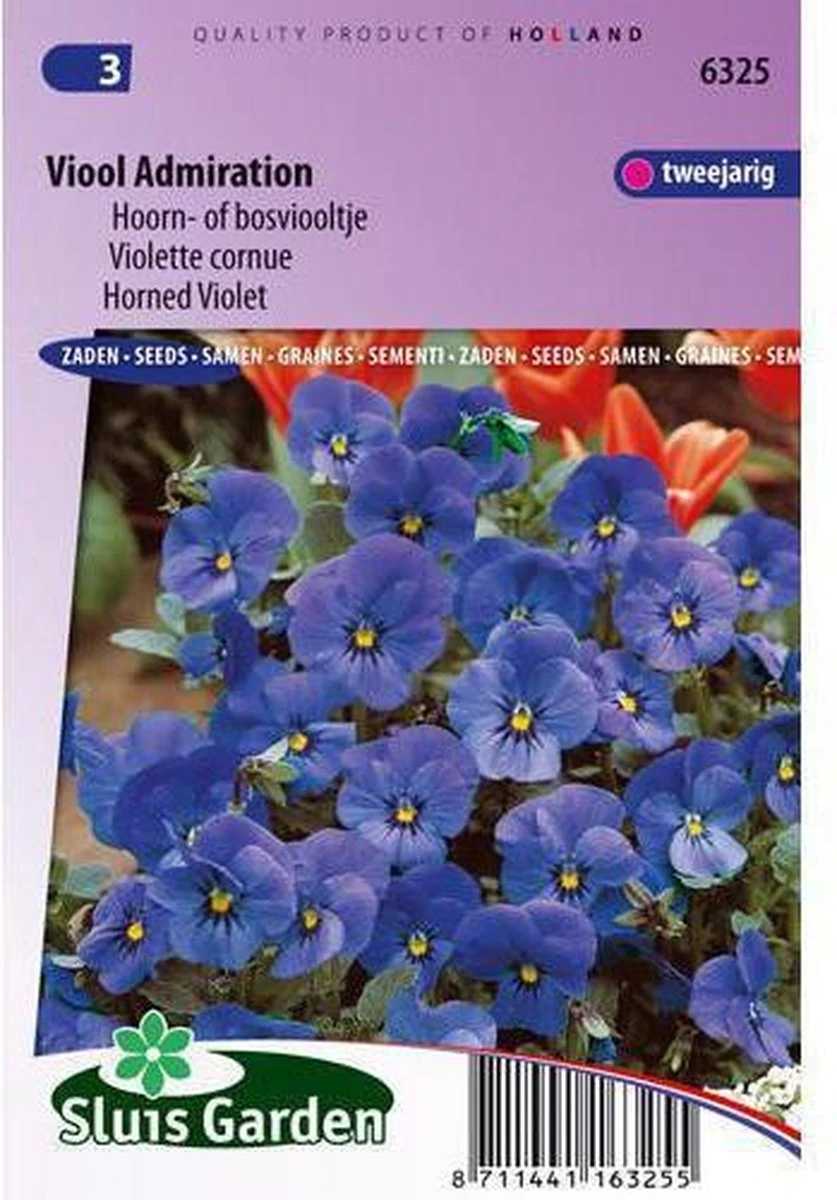 Sluis Garden - Viool Admiration (Grootbloemige Bosviooltje) 3 Sluis Garden - Viool Admiration (Grootbloemige Bosviooltje)