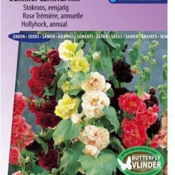 Sluis Garden - Stokroos Summer Carnival Mix (Alcea Rosea)