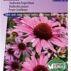 Sluis Garden - Zonnehoed Purpurea (Echinacea) -Goedkope Groene Liefde Winkel 837x1200 17
