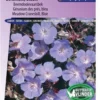 Sluis Garden - Beemdooievaarsbek Blauw (Geranium Pratense) -Goedkope Groene Liefde Winkel 837x1200 20