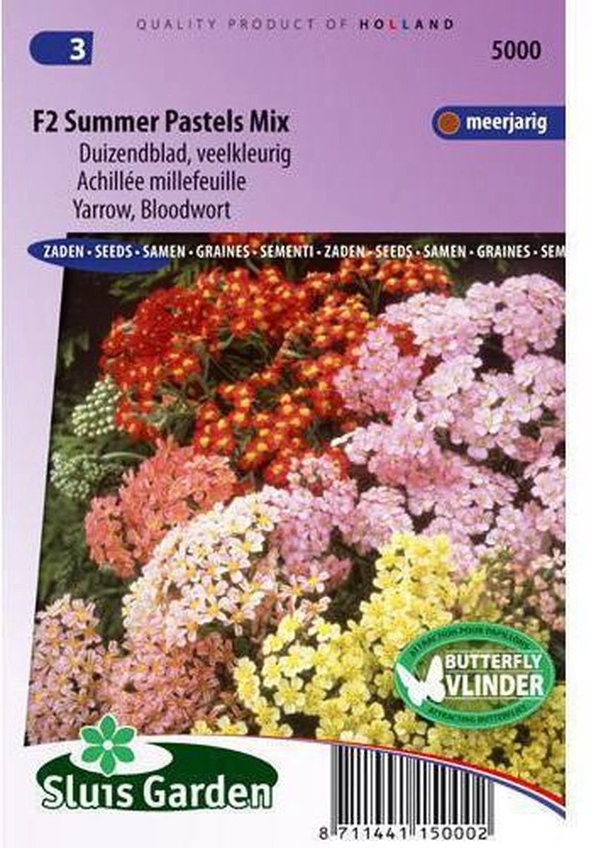 Sluis Garden - Duizendblad Summer Pastels F2 Mix (Achillea) 3 Sluis Garden - Duizendblad Summer Pastels F2 Mix (Achillea)