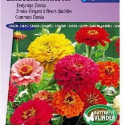 Sluis Garden - Zinnia Dahlia-Bloemige Mix