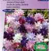 Sluis Garden - Akelei Granny's Bonnets Mix (Aquilegia Vulgaris) -Goedkope Groene Liefde Winkel 837x1200 25