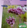 Sluis Garden - Verbena Purple Top (IJzerhard) -Goedkope Groene Liefde Winkel 837x1200 26