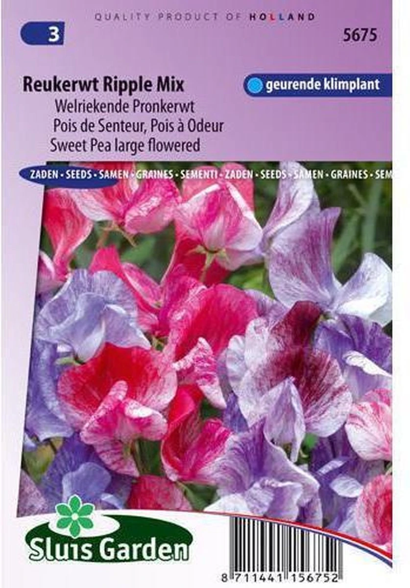 Sluis Garden - Reukerwt Ripple Formula Mix (Lathyrus) 3 Sluis Garden - Reukerwt Ripple Formula Mix (Lathyrus)