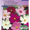 Sluis Garden - Cosmos Sensation Mixed -Goedkope Groene Liefde Winkel 837x1200 28
