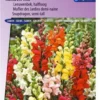 Sluis Garden - Leeuwenbek Rainbow Mix, Halfhoog 2 Sluis Garden - Leeuwenbek Rainbow Mix, Halfhoog -Goedkope Groene Liefde Winkel 837x1200 29