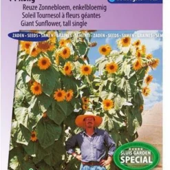 Sluis Garden - Zonnebloem Kong F1 (Helianthus Annuus)