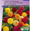 Sluis Garden - Dahlia Pompon Mix -Goedkope Groene Liefde Winkel 837x1200 40