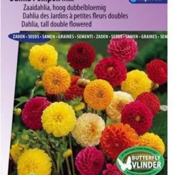 Sluis Garden - Dahlia Pompon Mix