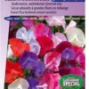 Sluis Garden - Reukerwt Old Sweet Scent Mix (Lathyrus) 1 Sluis Garden - Reukerwt Old Sweet Scent Mix (Lathyrus) -Goedkope Groene Liefde Winkel 837x1200 42