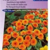 Sluis Garden Goudsbloem Orange Gitana (Calendula Officinalis) -Goedkope Groene Liefde Winkel 837x1200 43